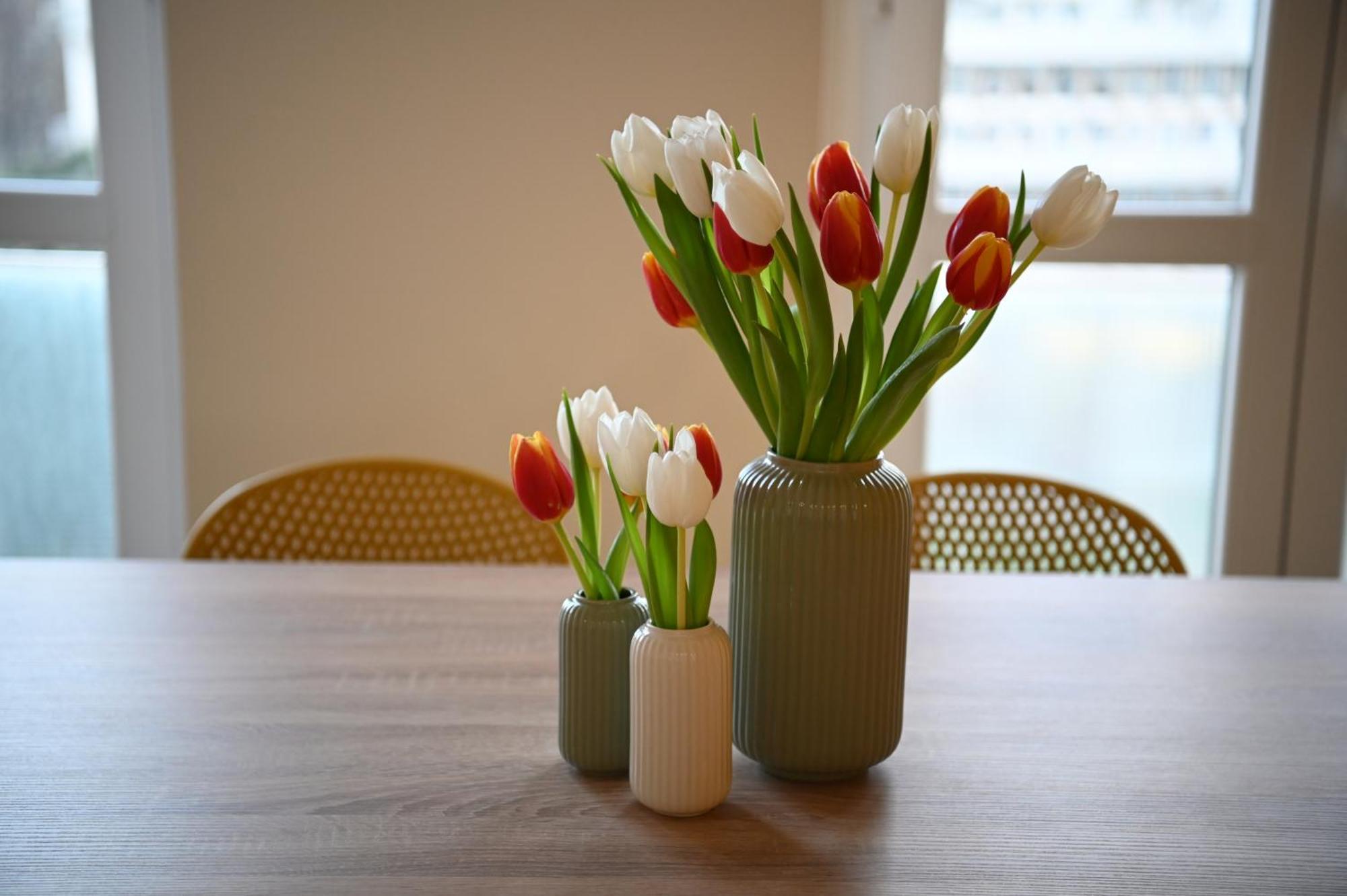 Apartment Per Famiglie - Metro A - 20min Dal Centro Rom